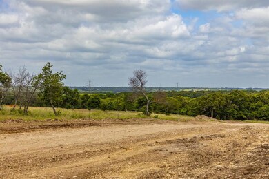 210 Jupiter Trail, Weatherford, TX 76088 - photo 4