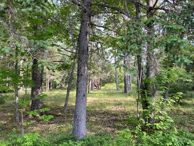 Through trees to building site.