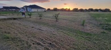 6130 Canvasback Ln, Rosenberg, TX 77471 - photo 2