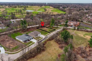 1028 Lodalia Ct, Wheaton, IL 60189 - photo 2