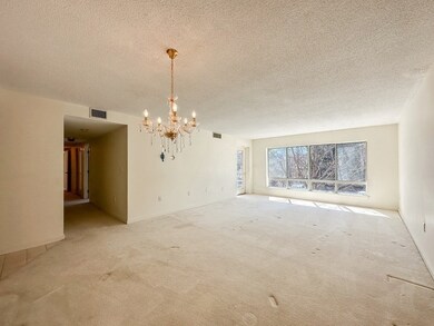 233 Place Ln, Woburn, MA 01801 - photo 7