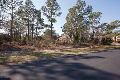 604 Pilots Ridge, Wilmington, NC 28412 - photo 5