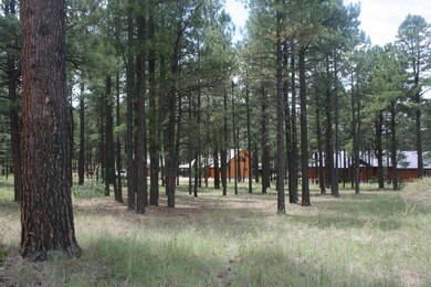 BIG TIMBER; ALL UTILITIES