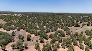 DJI_20240706114339_0035_D