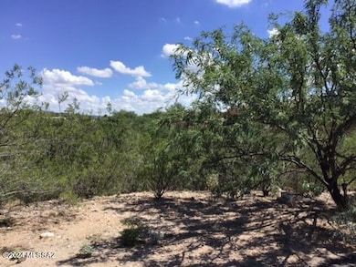 13244 E Kala Place unit 10, Jacaranda Village at Tewa Trail, AZ 85641 - photo 4