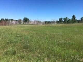 XXX Cty C Rd, Webster, WI 54893 - photo 6