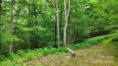 233 Woodland Springs Trail unit 14, Boone, NC 28607 - photo 2