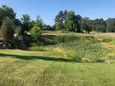 704 Maple Creek Blvd unit 1, Petoskey, MI 49770 - photo 5