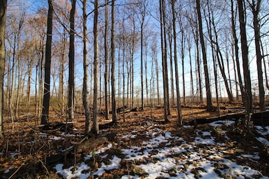 58573 Oak Grove Rd, Cassopolis, MI 49031 - photo 7