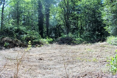 108TH 108th Ave E, Graham, WA 98338 - photo 3