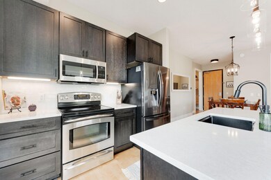 240 Spring St unit 302, Saint Paul, MN 55102 - photo 3