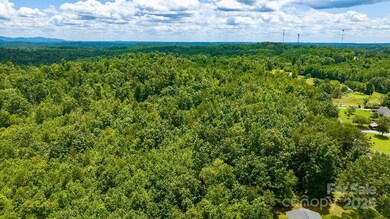 TBD Crutchfield Rd, Union Mills, NC 28167 - photo 6