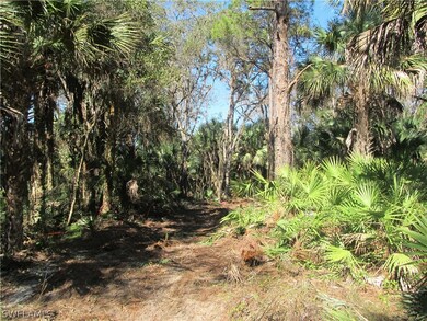 3751 Bateman Rd, Alva, FL 33920 - photo 2