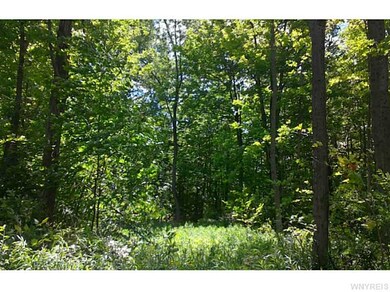 9789 Dow Rd, Freedom, NY 14065 - photo 4