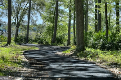 493 Harbor View Dr, Woodbine, GA 31569 - photo 3