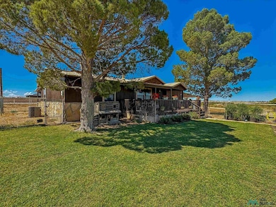 6306 Vest Rd, Carlsbad, NM 88220 - photo 6