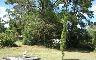 211 NW Carol Place, Lake City, FL 32055 - photo 4