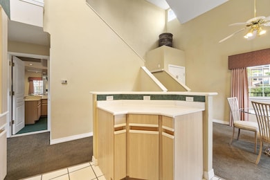 6-web-or-mls-DSC08393