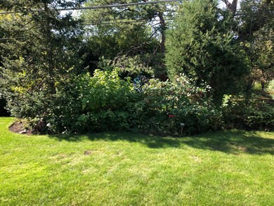 445 Rose Ave, Des Plaines, IL 60016 - photo 3