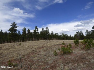 Lot 4 The Ranch at Alpine (3)