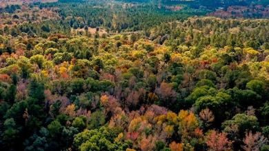 0 Twin Forks Rd unit 25651129, Statesboro, GA 30458 - photo 7