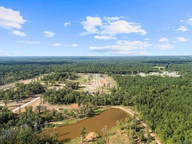 Aerial view of a heavily wooded area and a nearby body of water
