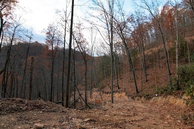 0 Parsons Dr, Mullens, WV 25882 - photo 6