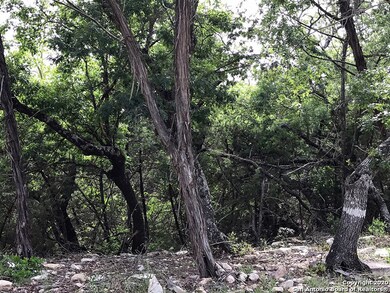 20710 Osprey Way, San Antonio, TX 78256 - photo 4