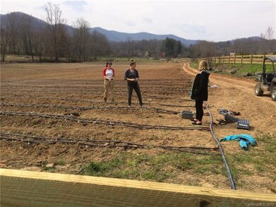 More of the vegetable garden