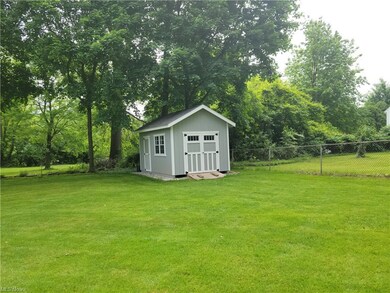 Shed in Backyard