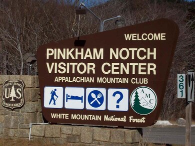 5 Evergreen Dr, Gorham, NH 03581 - photo 4