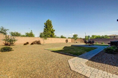 Backyard 5