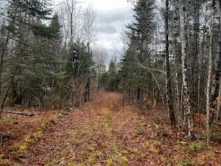 Lot 2 Greenleaf Brook Rd, Amity, ME 04471 - photo 7