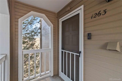 1263 S Gilbert St unit B-201, Castle Rock, CO 80104 - photo 2