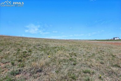 17946 Prairie Coach View, Calhan, CO 80808 - photo 3