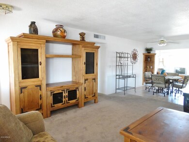 9837 N 101st Ave, Sun City, AZ 85351 - photo 6