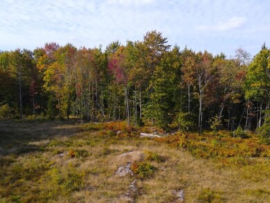 0 Upper Fisher Rd, Roxbury, VT 05663 - photo 5