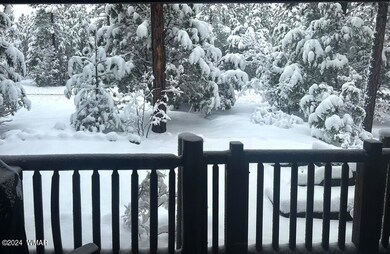 Snow from the back deck (1)