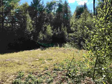 0 County Rd unit Map 2 Lot 5 4720056, Hillsborough, NH 03244 - photo 5