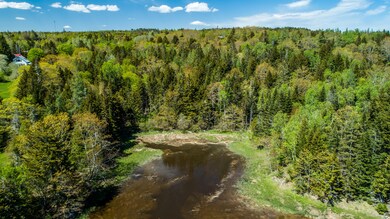2019 June 7 East Machias 7 acre lot-10