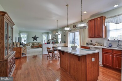 301 Springfield Way, Easton, PA 18045 - photo 7