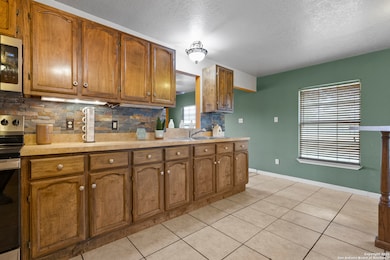 16097 Trawalter Rd, Atascosa, TX 78002 - photo 3