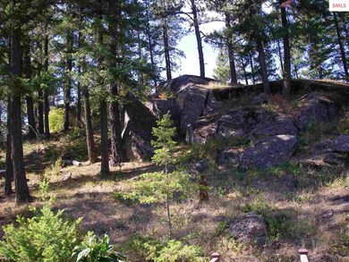 1040 Wood View Rd, Sandpoint, ID 83864 - photo 7