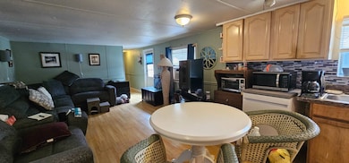 13113 Lionheart St, Riverview, FL 33578 - photo 2