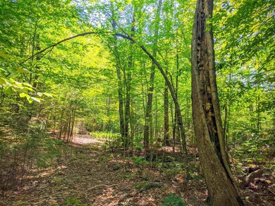 00 Rocky Ledge Rd, Windsor, NH 03244 - photo 7