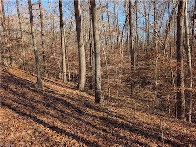 160 Tabernacle Church Rd, Trinity, NC 27370 - photo 7