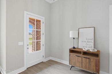 1205 Old Court Crossing, Flowood, MS 39232 - photo 5