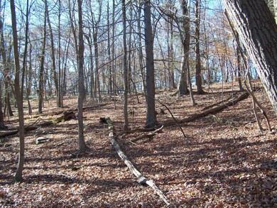 334 Swartekill Rd, Esopus, NY - photo 5