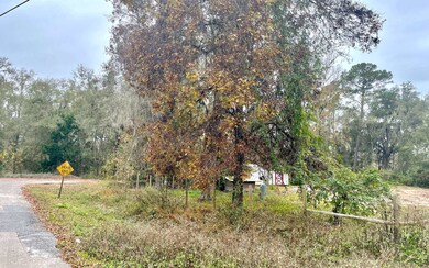 628 NE Diana Terrace, Lake City, FL 32055 - photo 2