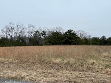 Lot 20 Brookview Ln, Hardy, VA 24101 - photo 3